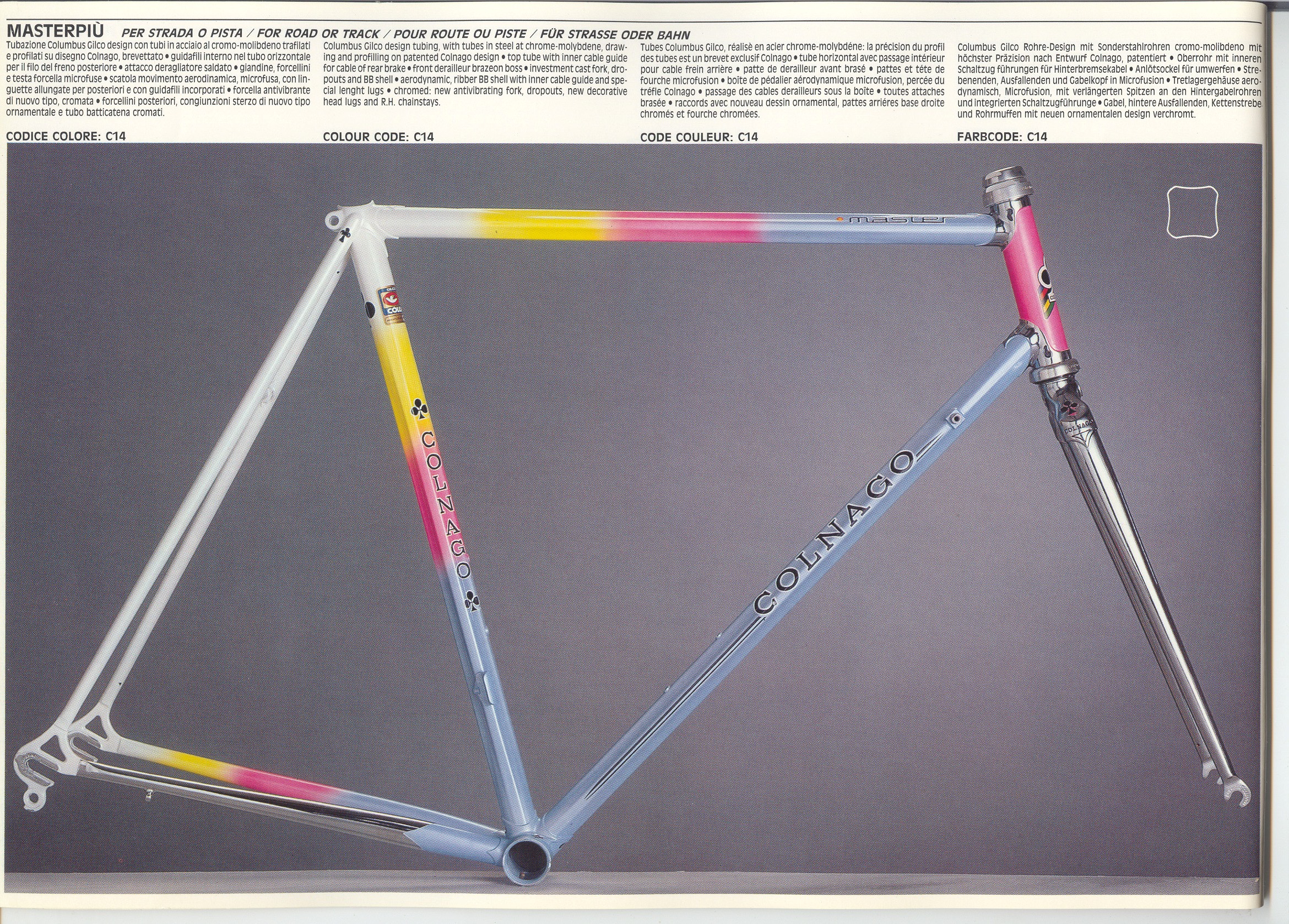 pagina-7